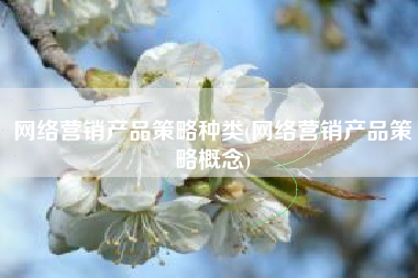 网络营销产品策略种类(网络营销产品策略概念)