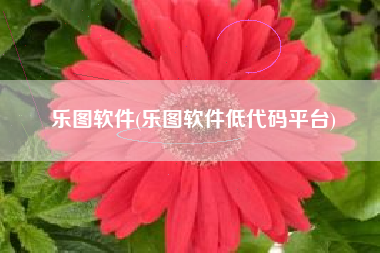 乐图软件(乐图软件低代码平台)