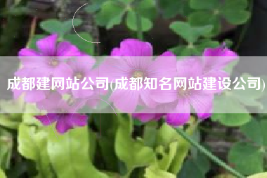 成都建网站公司(成都知名网站建设公司)