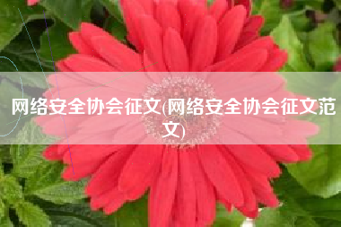 网络安全协会征文(网络安全协会征文范文)