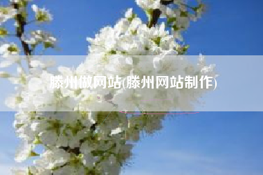 滕州做网站(滕州网站制作)