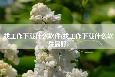 找工作下载什么软件(找工作下载什么软件最好)