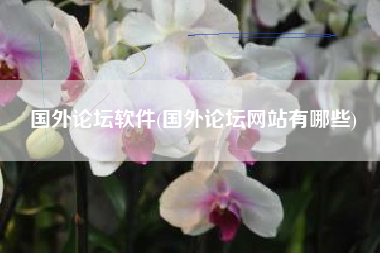 国外论坛软件(国外论坛网站有哪些)