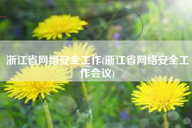浙江省网络安全工作(浙江省网络安全工作会议)