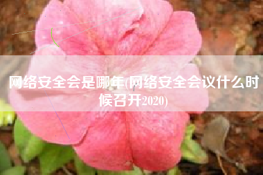 网络安全会是哪年(网络安全会议什么时候召开2020)