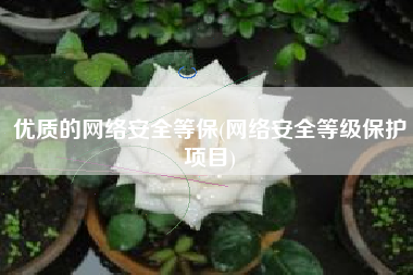 优质的网络安全等保(网络安全等级保护项目)