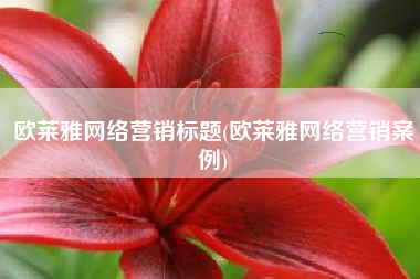欧莱雅网络营销标题(欧莱雅网络营销案例)
