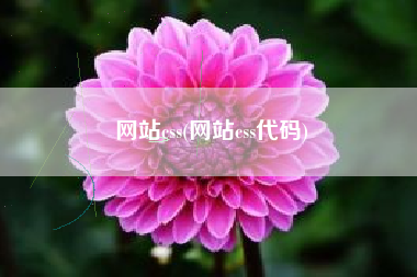 网站css(网站css代码)