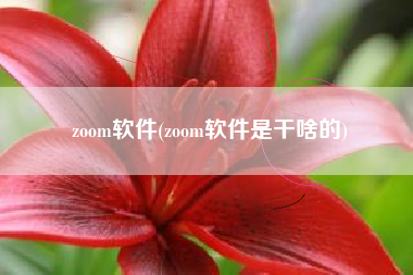 zoom软件(zoom软件是干啥的)
