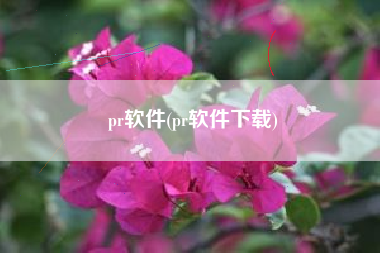 pr软件(pr软件下载)