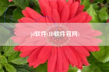 jd软件(JD软件官网)