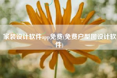 家装设计软件app免费(免费户型图设计软件)