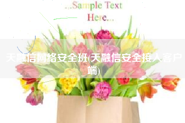 天融信网络安全班(天融信安全接入客户端)