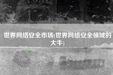 世界网络安全市场(世界网络安全领域的大牛)
