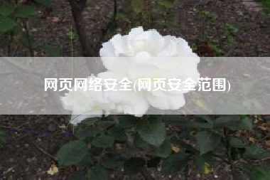 网页网络安全(网页安全范围)