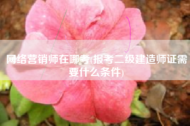 网络营销师在哪考(报考二级建造师证需要什么条件)