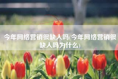 今年网络营销很缺人吗(今年网络营销很缺人吗为什么)