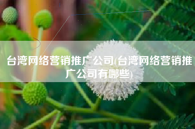 台湾网络营销推广公司(台湾网络营销推广公司有哪些)