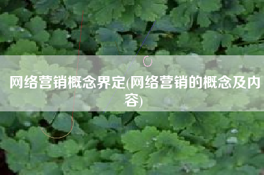 网络营销概念界定(网络营销的概念及内容)