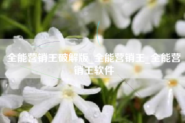 全能营销王破解版_全能营销王_全能营销王软件