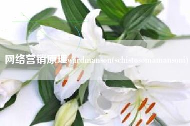 网络营销原理wardmanson(schistosomamansoni)