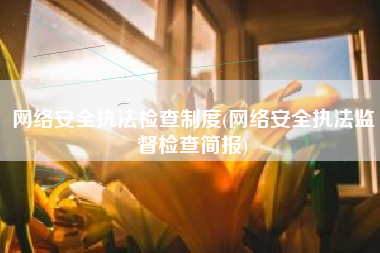 网络安全执法检查制度(网络安全执法监督检查简报)