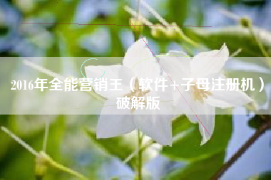 2016年全能营销王（软件+子母注册机）破解版