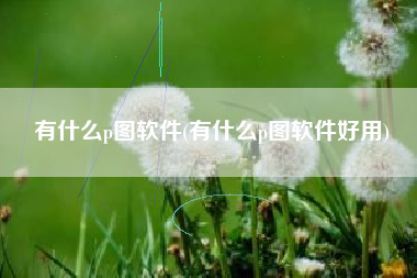 有什么p图软件(有什么p图软件好用)