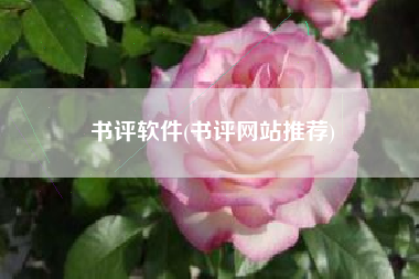 书评软件(书评网站推荐)