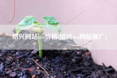 绍兴网站seo价格(绍兴seo网站推广)