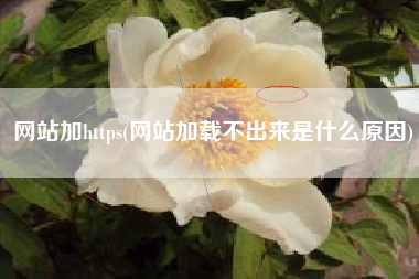 网站加https(网站加载不出来是什么原因)