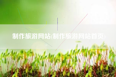 制作旅游网站(制作旅游网站首页)