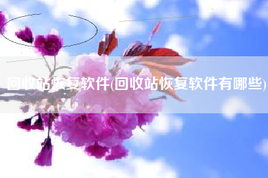 回收站恢复软件(回收站恢复软件有哪些)