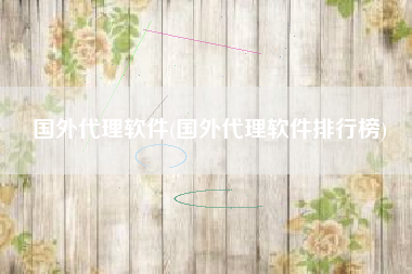 国外代理软件(国外代理软件排行榜)