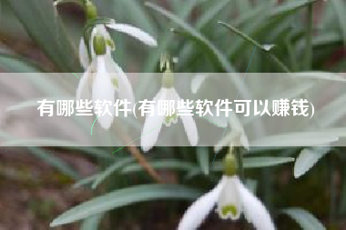 有哪些软件(有哪些软件可以赚钱)