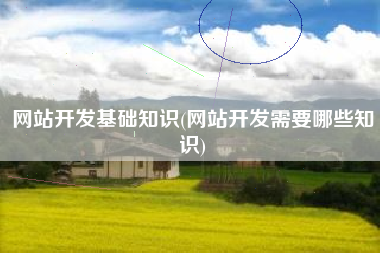 网站开发基础知识(网站开发需要哪些知识)