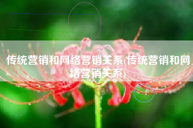传统营销和网络营销关系(传统营销和网络营销关系)