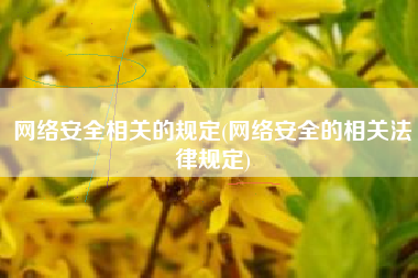 网络安全相关的规定(网络安全的相关法律规定)