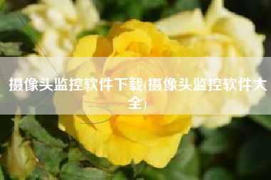 摄像头监控软件下载(摄像头监控软件大全)