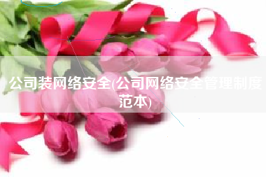 公司装网络安全(公司网络安全管理制度范本)