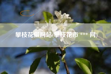 攀枝花做网站(攀枝花市 *** 网)