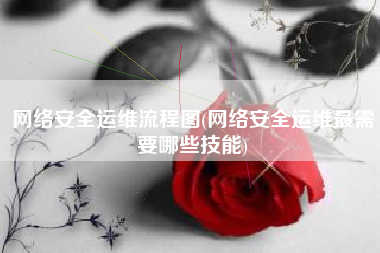 网络安全运维流程图(网络安全运维最需要哪些技能)