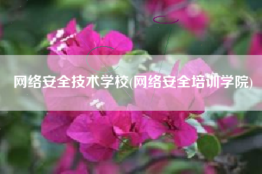 网络安全技术学校(网络安全培训学院)