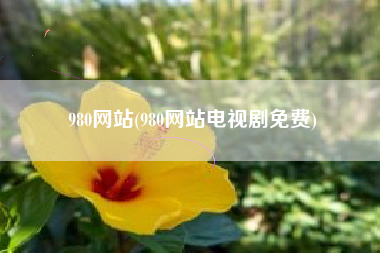 980网站(980网站电视剧免费)