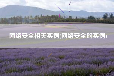 网络安全相关实例(网络安全的实例)