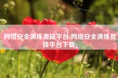 网络安全演练竞技平台(网络安全演练竞技平台下载)