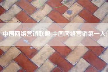 中国网络营销联盟(中国网络营销第一人)