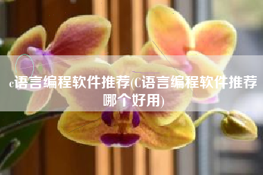 c语言编程软件推荐(C语言编程软件推荐哪个好用)