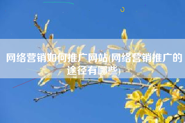 网络营销如何推广网站(网络营销推广的途径有哪些)