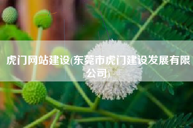 虎门网站建设(东莞市虎门建设发展有限公司)